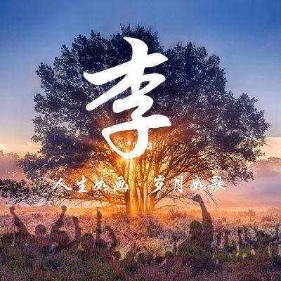 d2手游下载