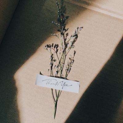 镇魂师果盘版下载
