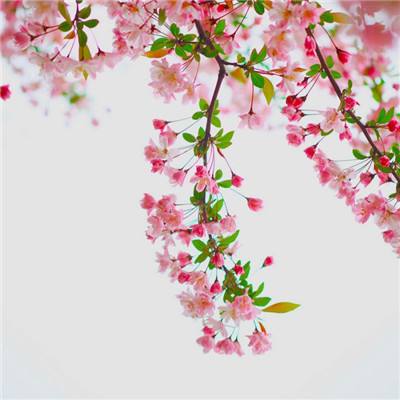 逆袭吧英雄bt版下载